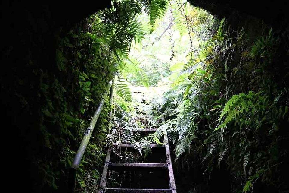 Hà Nội: Bí ẩn hang ngầm dưới đình cổ giáp hồ Tây - 2 Hà Nội: Bí ẩn hang ngầm dưới đình cổ giáp hồ Tây - 2