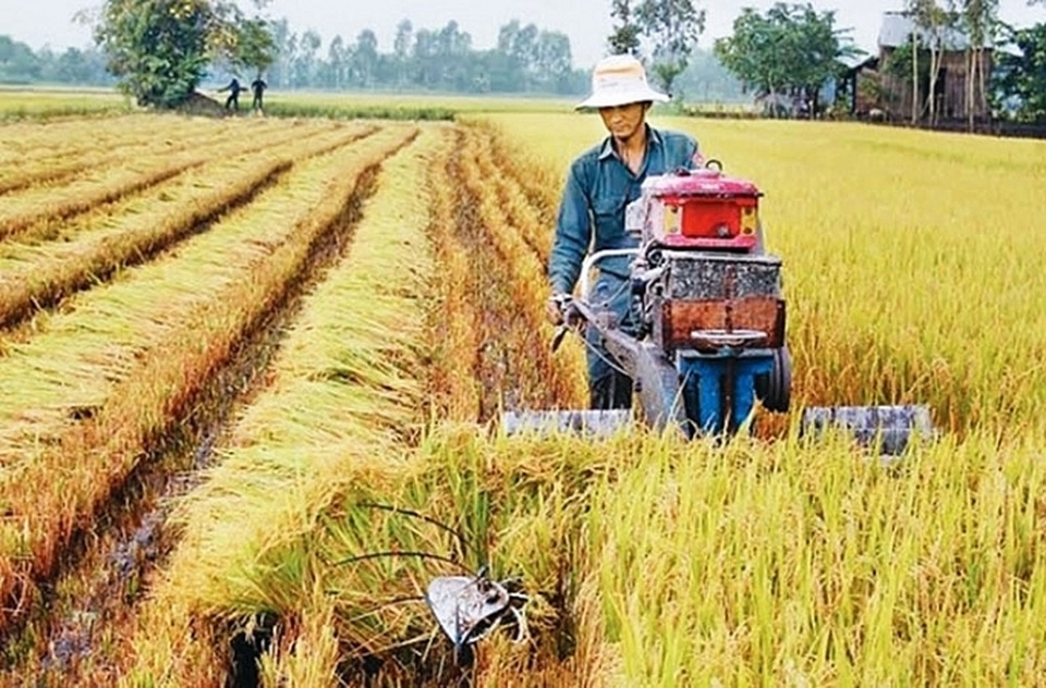 Tăng trưởng thấp nhất 8 năm, sức ỳ của nông nghiệp vốn vẫn là chuyện “cơm bữa” - 1 Tăng trưởng thấp nhất 8 năm, sức ỳ của nông nghiệp vốn vẫn là chuyện “cơm bữa” - 1