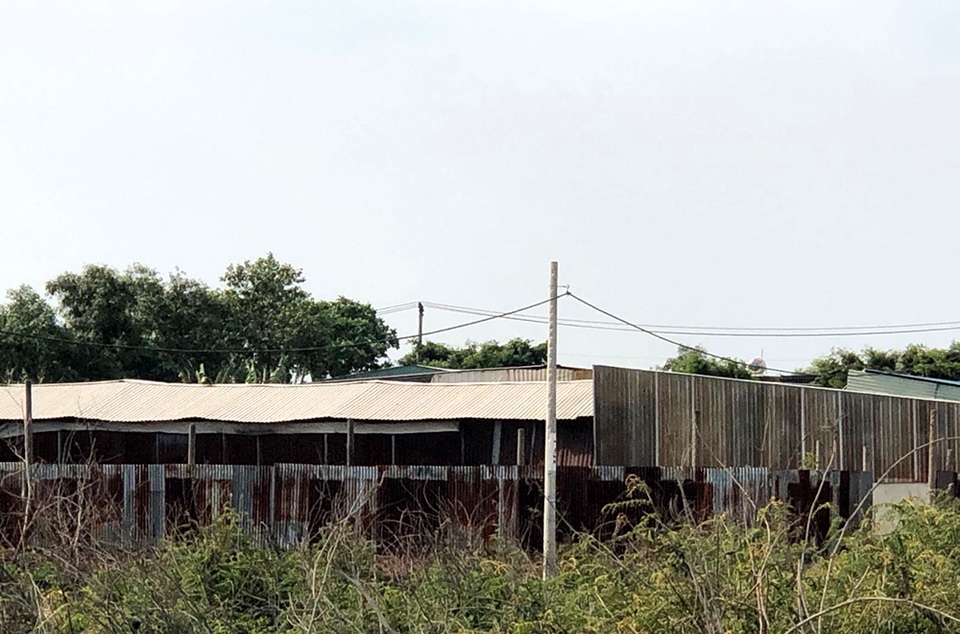 Hàng trăm ha đất cấm bị xẻ thịt tại TP.HCM: Nhà không phép ồ ạt mọc thế nào? - 11