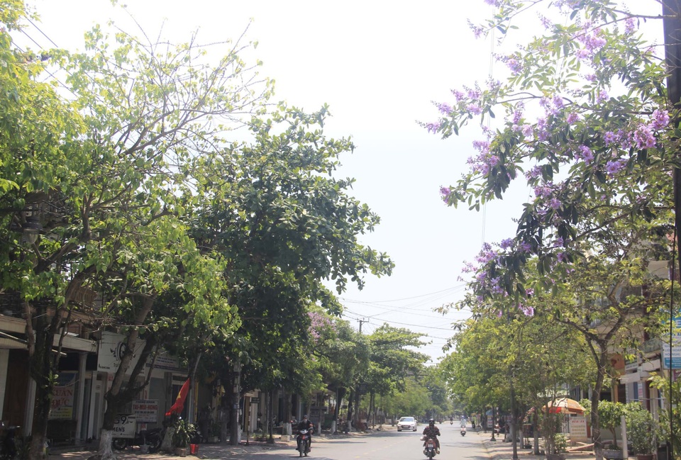 Sắc tím bằng lăng nhuộm màu Thành cổ Quảng Trị - 11 Sắc tím bằng lăng nhuộm màu Thành cổ Quảng Trị - 11