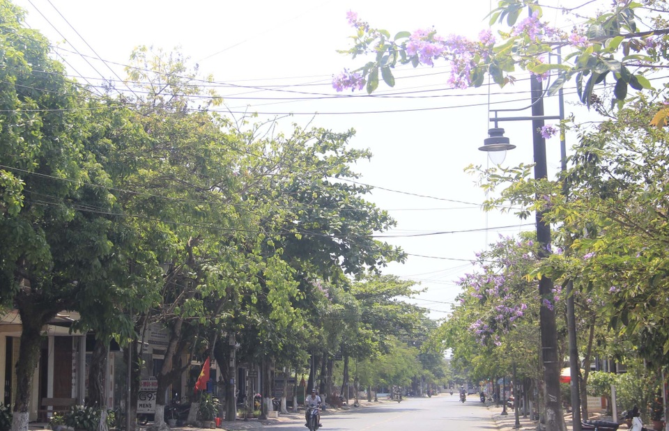 Sắc tím bằng lăng nhuộm màu Thành cổ Quảng Trị - 8 Sắc tím bằng lăng nhuộm màu Thành cổ Quảng Trị - 8