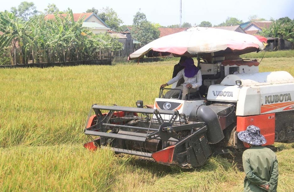 Người dân “xứ gió Lào” vã mồ hôi lao động giữa nắng nóng rát mặt! - 4
