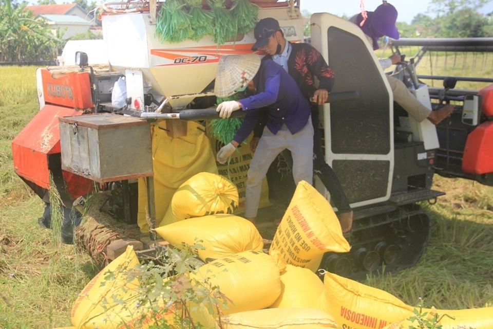 Người dân “xứ gió Lào” vã mồ hôi lao động giữa nắng nóng rát mặt! - 8