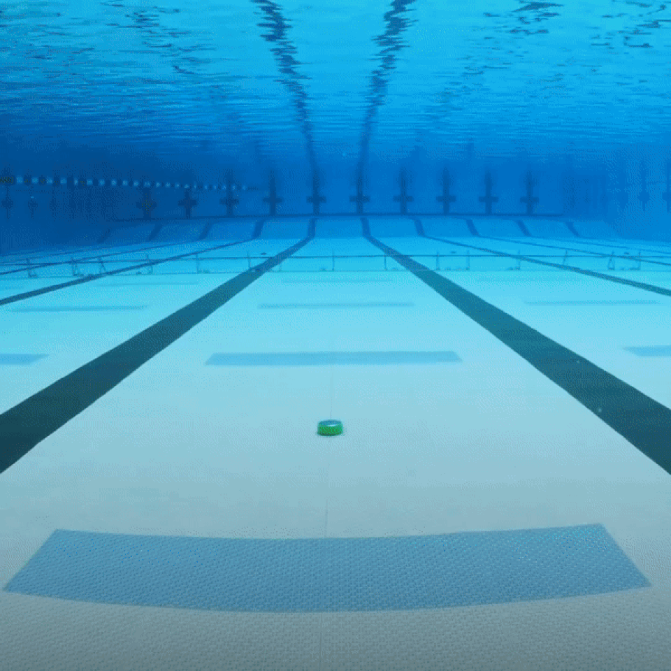 Khúc côn cầu dưới nước: Môn thể thao “độc lạ” tại SEA Games 2019 - 1 Khúc côn cầu dưới nước: Môn thể thao “độc lạ” tại SEA Games 2019 - 1