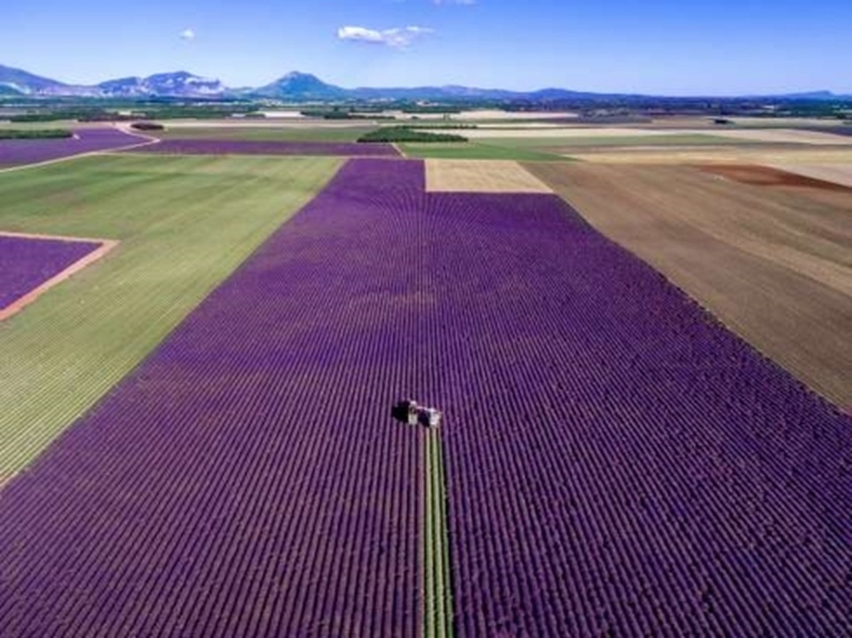 Mãn nhãn trước những bức ảnh đẹp mê hồn được chụp từ trên cao - 11 Mãn nhãn trước những bức ảnh đẹp mê hồn được chụp từ trên cao - 11