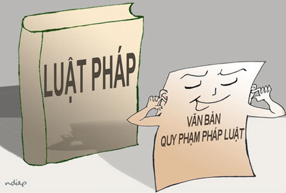 Từ hai vụ án, lộ ra những khoảng trống trong pháp luật - 1