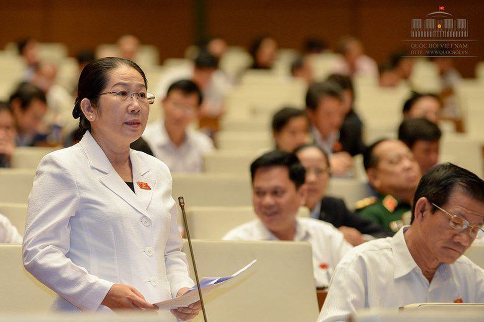 “Vô cùng thất vọng vì 3 lần gửi đơn, Chánh án đều nói không có cơ sở...” - 2 Đại biểu Võ Thị Dung (TPHCM)