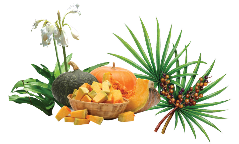 Tiền liệt vương - Giải pháp hỗ trợ hiệu quả điều trị phì đại tiền liệt tuyến - 1 Tiền liệt vương - Giải pháp hỗ trợ hiệu quả điều trị phì đại tiền liệt tuyến - 1