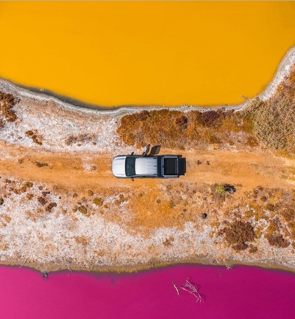 Trái Đất “đẹp lạ” qua góc nhìn của… những chú chim! - 1