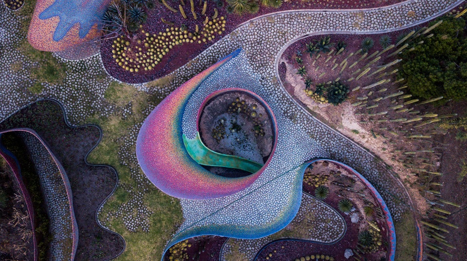 Trái Đất “đẹp lạ” qua góc nhìn của… những chú chim! - 10