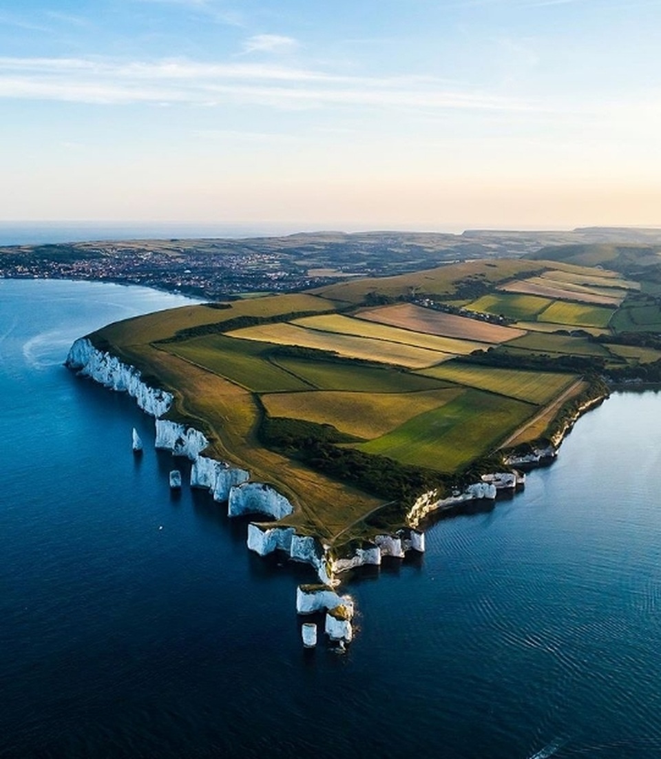 Trái Đất “đẹp lạ” qua góc nhìn của… những chú chim! - 12