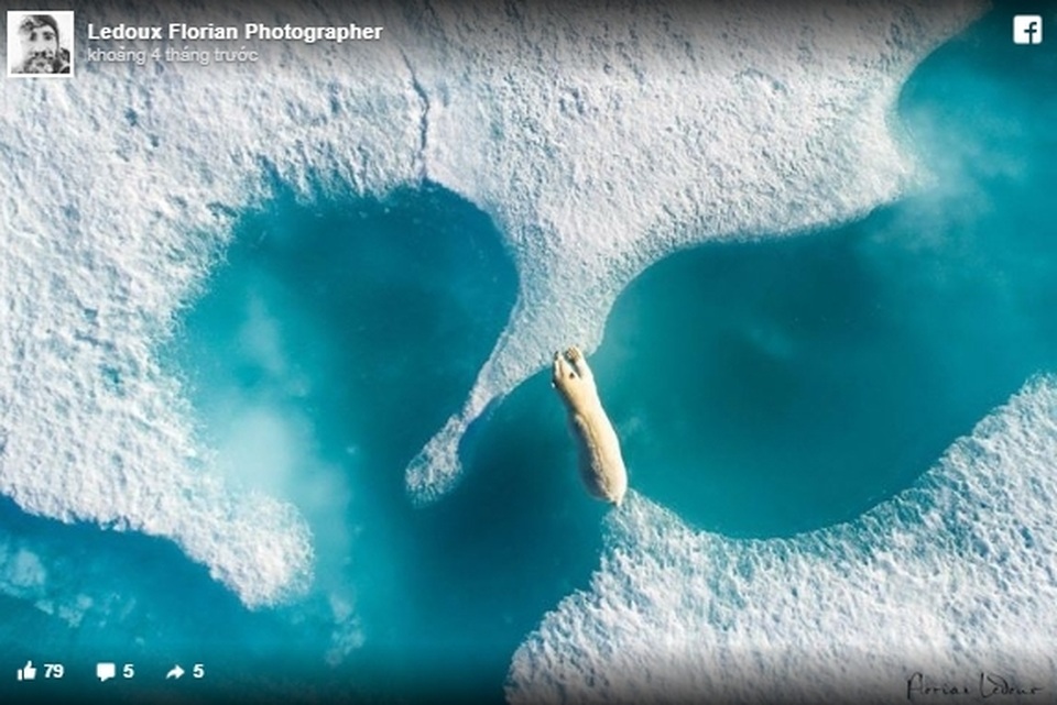 Trái Đất “đẹp lạ” qua góc nhìn của… những chú chim! - 2