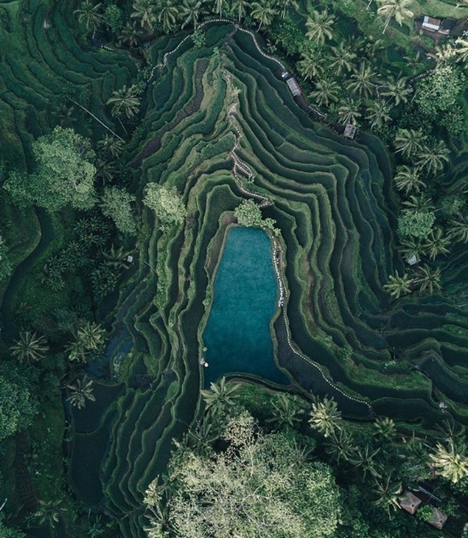 Trái Đất “đẹp lạ” qua góc nhìn của… những chú chim! - 3