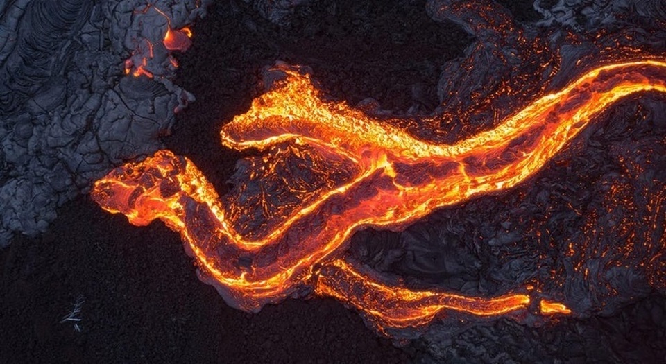 Trái Đất “đẹp lạ” qua góc nhìn của… những chú chim! - 6