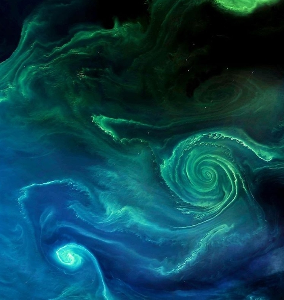 Trái Đất “đẹp lạ” qua góc nhìn của… những chú chim! - 7