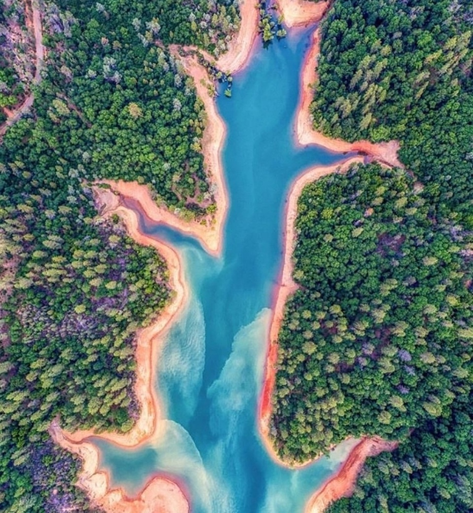 Trái Đất “đẹp lạ” qua góc nhìn của… những chú chim! - 8