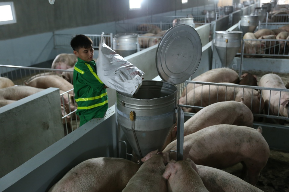 Chủ tịch Masan: Tôi không chọn mì gói để khởi nghiệp - 2 Chủ tịch Masan: Tôi không chọn mì gói để khởi nghiệp - 2