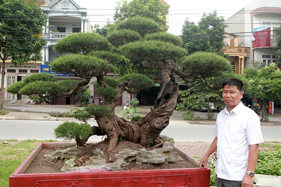 Chiêm ngưỡng lão phi lao hình chữ Nhẫn giá bạc tỷ - 2 Chiêm ngưỡng lão phi lao hình chữ Nhẫn giá bạc tỷ - 2