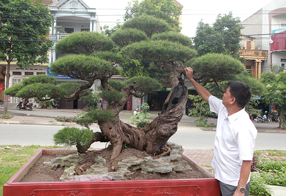 Chiêm ngưỡng lão phi lao hình chữ Nhẫn giá bạc tỷ - 8 Chiêm ngưỡng lão phi lao hình chữ Nhẫn giá bạc tỷ - 8