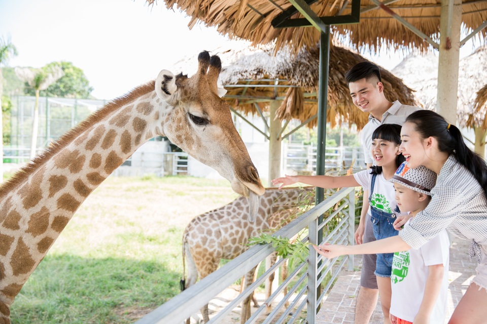 Khu sinh thái Mường Thanh Diễn Lâm – Thiên đường mùa hè tại Nghệ An - 3 Khu sinh thái Mường Thanh Diễn Lâm – Thiên đường mùa hè tại Nghệ An - 3
