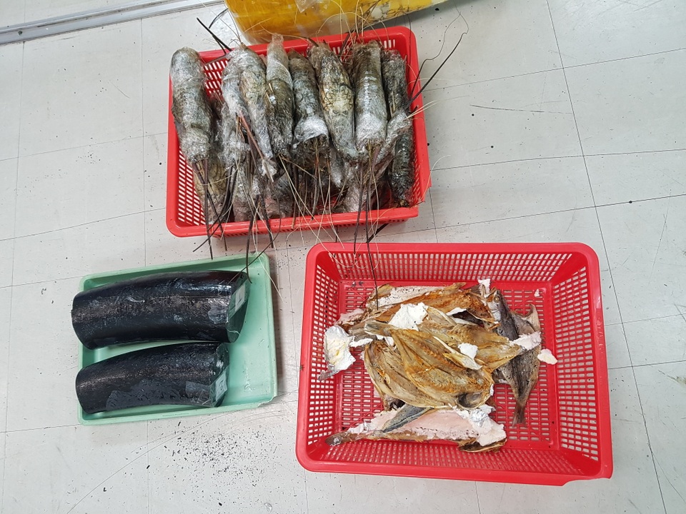 ngà voi nguỵ trang trong thùng tôm hùm và cá khô  