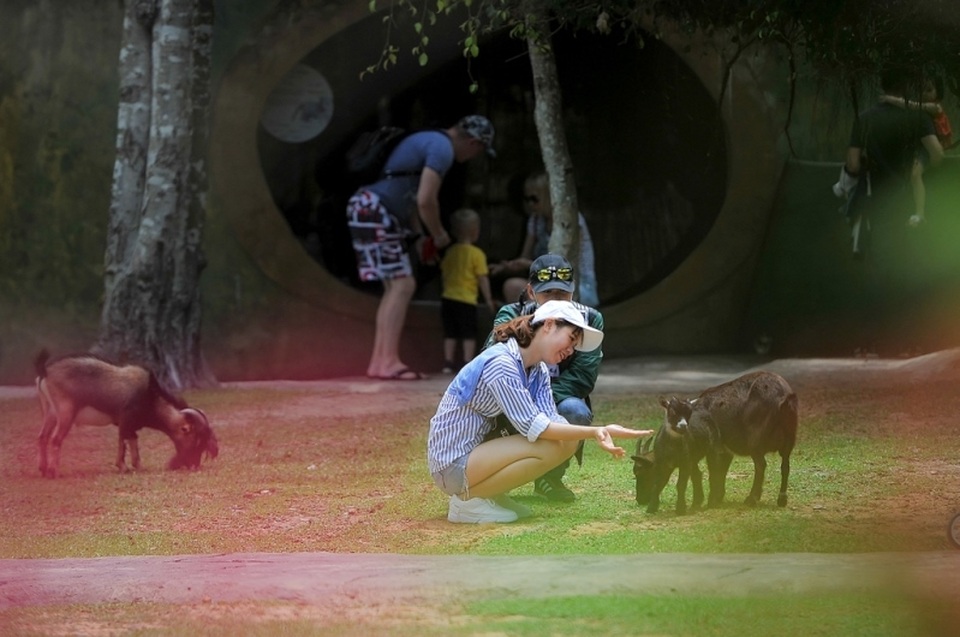 Vinpearl Safari Phú Quốc – 17 ngày đón 2 cá thể tê giác quý chào đời - 7 Vinpearl Safari Phú Quốc – 17 ngày đón 2 cá thể tê giác quý chào đời - 7