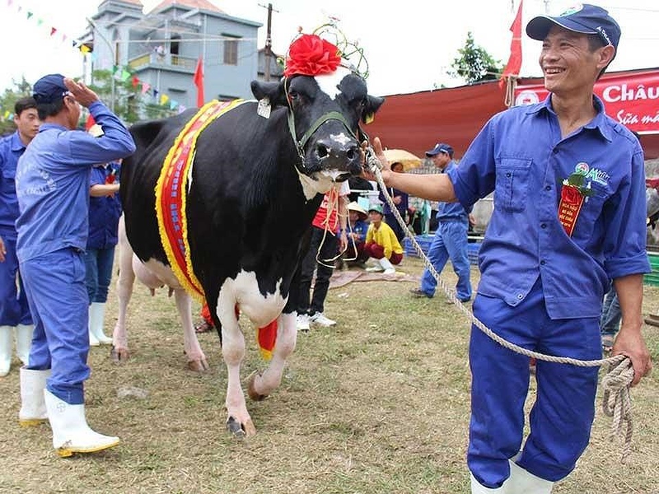 Bữa tiệc thâu tóm còn dang dở của đại gia - 1 Bữa tiệc thâu tóm còn dang dở của đại gia - 1
