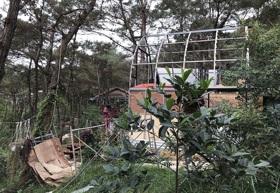 Sóc Sơn đang phá dỡ các công trình vi phạm trên đất rừng - 9 Sóc Sơn đang phá dỡ các công trình vi phạm trên đất rừng - 9