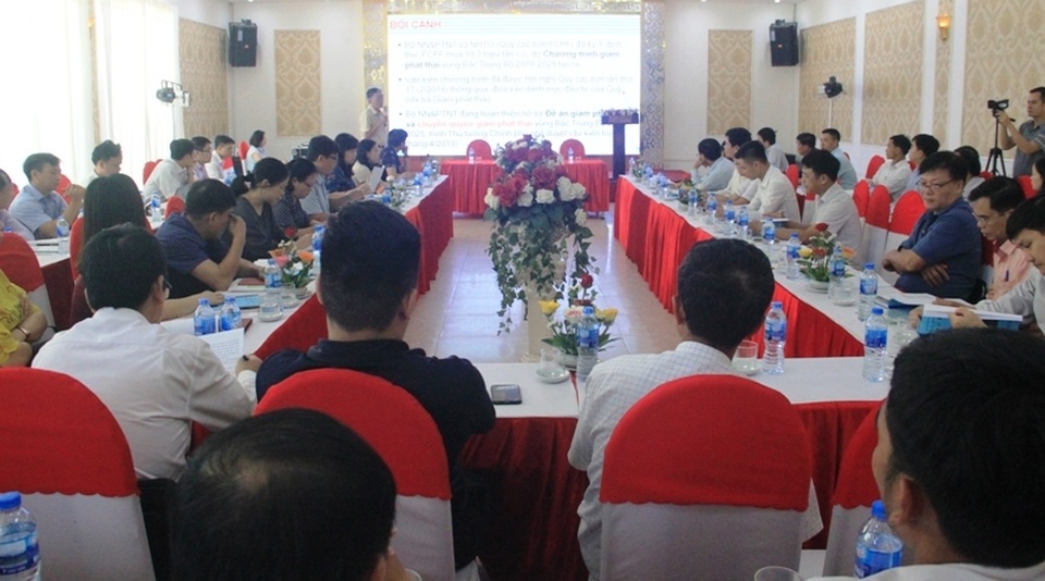 Trồng rừng bán tín chỉ cacbon ở Bắc Trung Bộ, cơ hội thu về hàng triệu USD - 2 Trồng rừng bán tín chỉ cacbon ở Bắc Trung Bộ, cơ hội thu về hàng triệu USD - 2