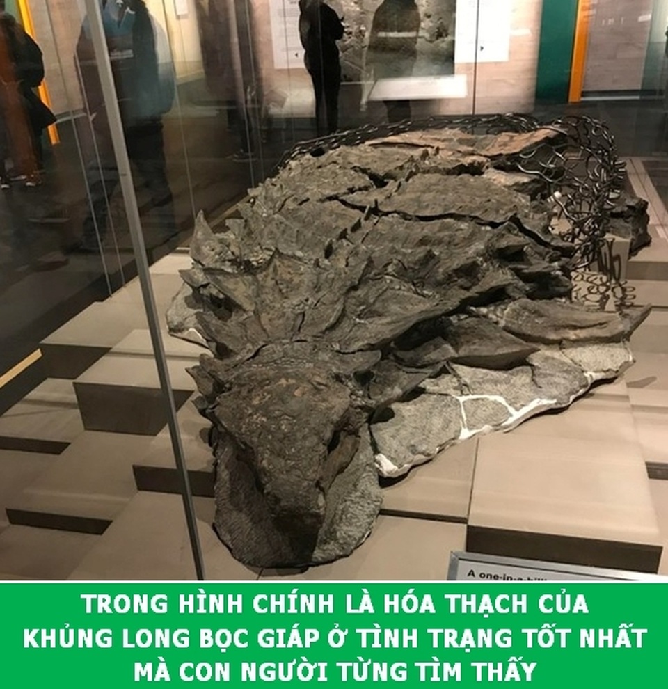 “Xả hơi” ngày cuối tuần với những Fun Facts khoa học đầy thú vị - 2 “Xả hơi” ngày cuối tuần với những Fun Facts khoa học đầy thú vị - 2