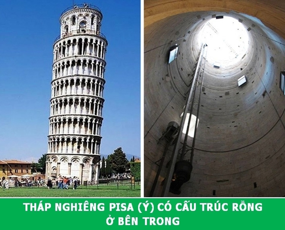 “Xả hơi” ngày cuối tuần với những Fun Facts khoa học đầy thú vị - 3 “Xả hơi” ngày cuối tuần với những Fun Facts khoa học đầy thú vị - 3