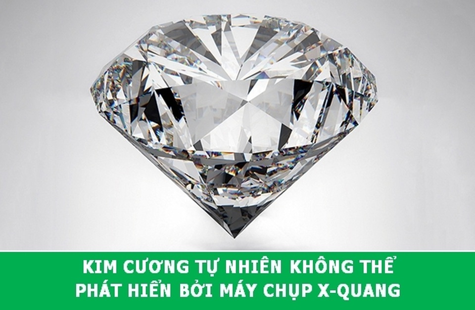 “Xả hơi” ngày cuối tuần với những Fun Facts khoa học đầy thú vị - 6 “Xả hơi” ngày cuối tuần với những Fun Facts khoa học đầy thú vị - 6
