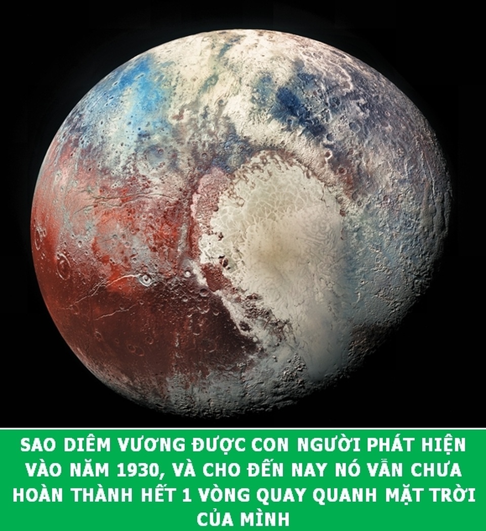 “Xả hơi” ngày cuối tuần với những Fun Facts khoa học đầy thú vị - 8 “Xả hơi” ngày cuối tuần với những Fun Facts khoa học đầy thú vị - 8