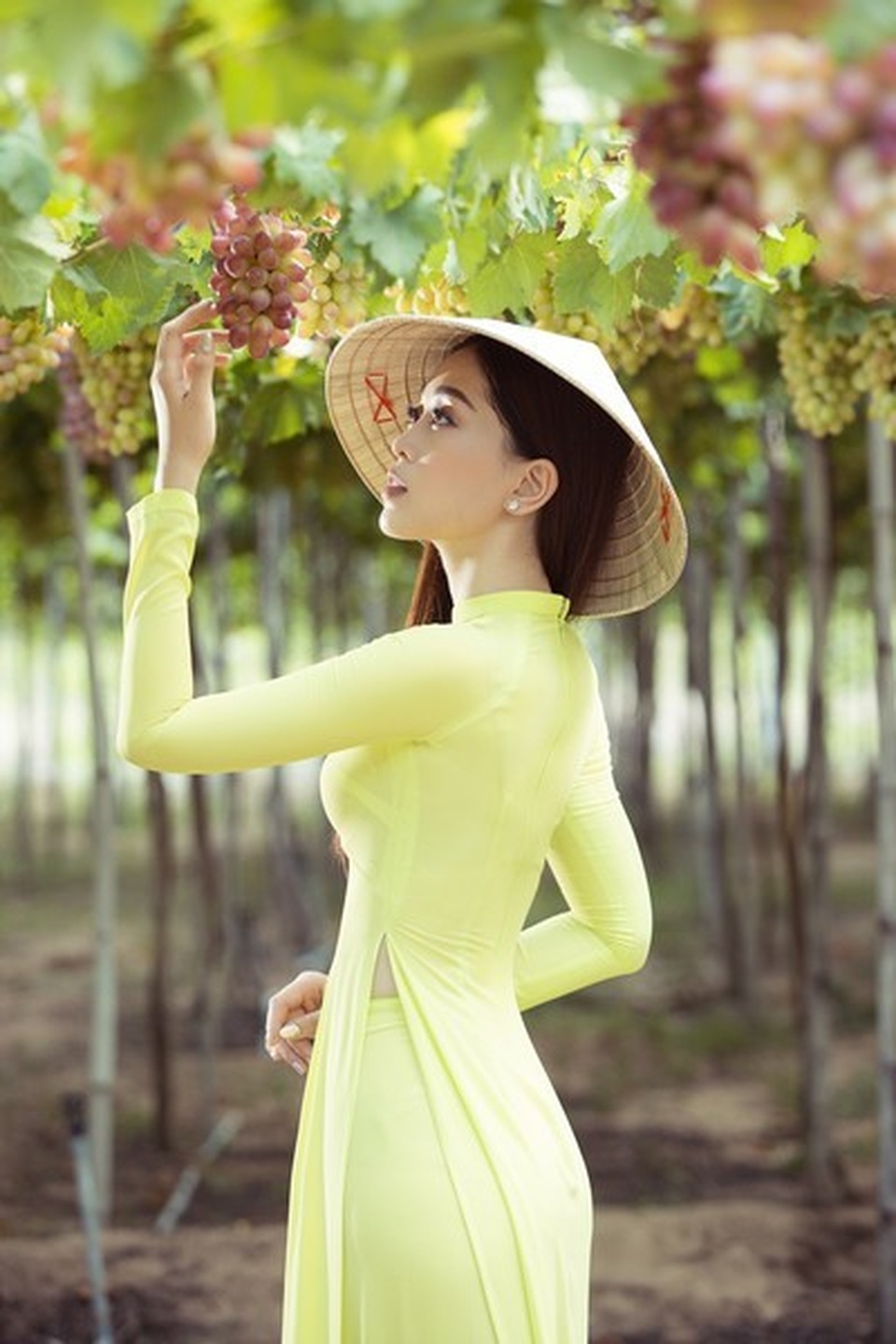 Dàn Hoa hậu Việt Nam 2018 “đọ sắc” cùng... nho - 13 Dàn Hoa hậu Việt Nam 2018 “đọ sắc” cùng... nho - 13