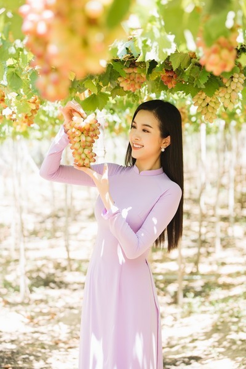 Dàn Hoa hậu Việt Nam 2018 “đọ sắc” cùng... nho - 12 Dàn Hoa hậu Việt Nam 2018 “đọ sắc” cùng... nho - 12