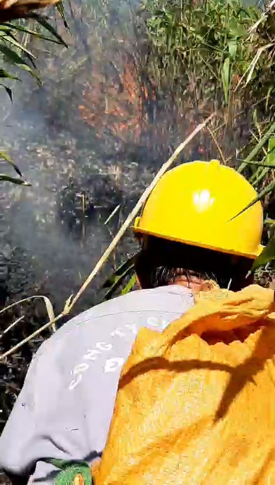 Huy động hàng trăm cán bộ chữa cháy rừng đặc dụng Đèo Cả - 2