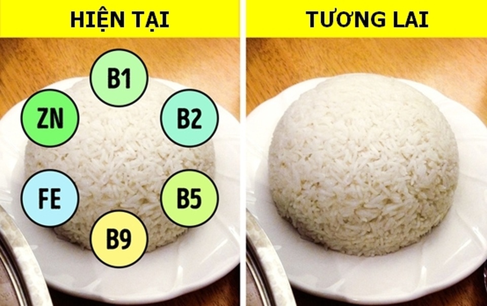 Những loại thực phẩm quen thuộc có nguy cơ biến mất vì biến đổi khí hậu! - 4 Những loại thực phẩm quen thuộc có nguy cơ biến mất vì biến đổi khí hậu! - 4