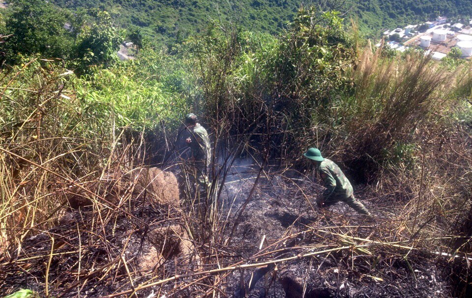 Huy động hàng trăm cán bộ chữa cháy rừng đặc dụng Đèo Cả - 3