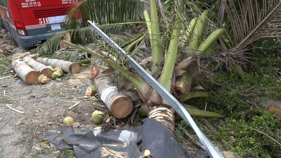 Chuyên cơ mặt đất lao vào nhà dân, cả xóm khiếp vía - 5 Chuyên cơ mặt đất lao vào nhà dân, cả xóm khiếp vía - 5