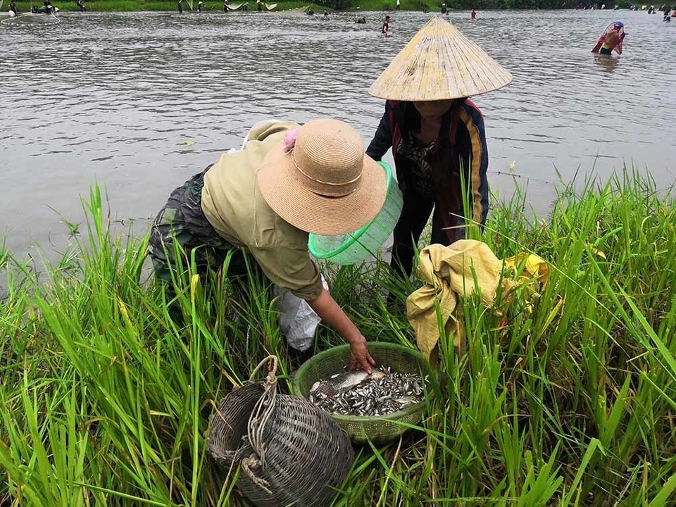 Tấp nập mang nơm, vó, lưới đổ về lễ hội đánh bắt cá có một không hai ở miền Trung - 13 Tấp nập mang nơm, vó, lưới đổ về lễ hội đánh bắt cá có một không hai ở miền Trung - 13