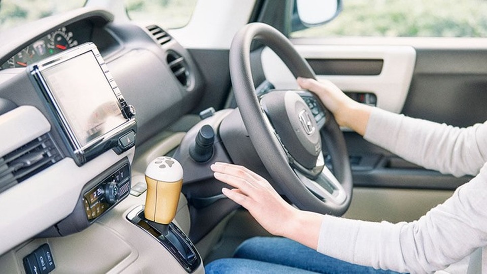 Bộ dụng cụ siêu độc trên xe hơi giúp đem theo thú cưng đi nghỉ lễ - 4 Bộ dụng cụ siêu độc trên xe hơi giúp đem theo thú cưng đi nghỉ lễ - 4
