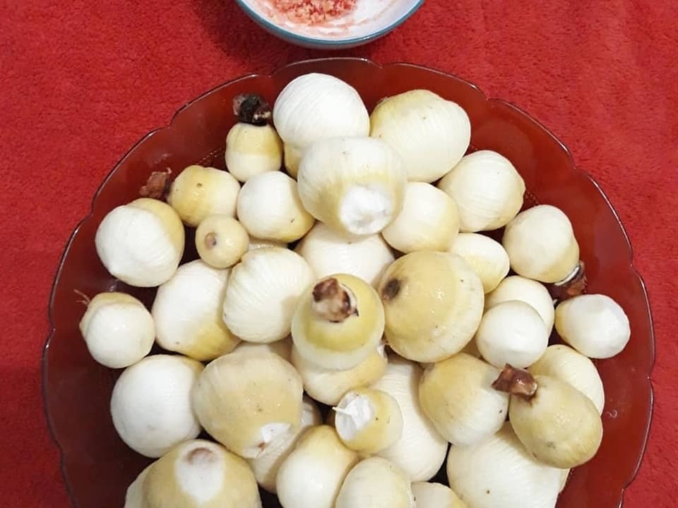Kỳ lạ “mầm dừa” miền Tây đi “chuyên cơ, chị em Hà Thành tranh nhau mua ăn vặt - 2 Kỳ lạ “mầm dừa” miền Tây đi “chuyên cơ, chị em Hà Thành tranh nhau mua ăn vặt - 2