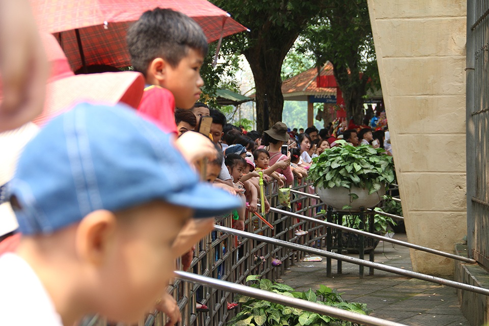 Toát mồ hôi, chen nhau trong công viên Thủ Lệ dịp nghỉ lễ - 9 Toát mồ hôi, chen nhau trong công viên Thủ Lệ dịp nghỉ lễ - 9