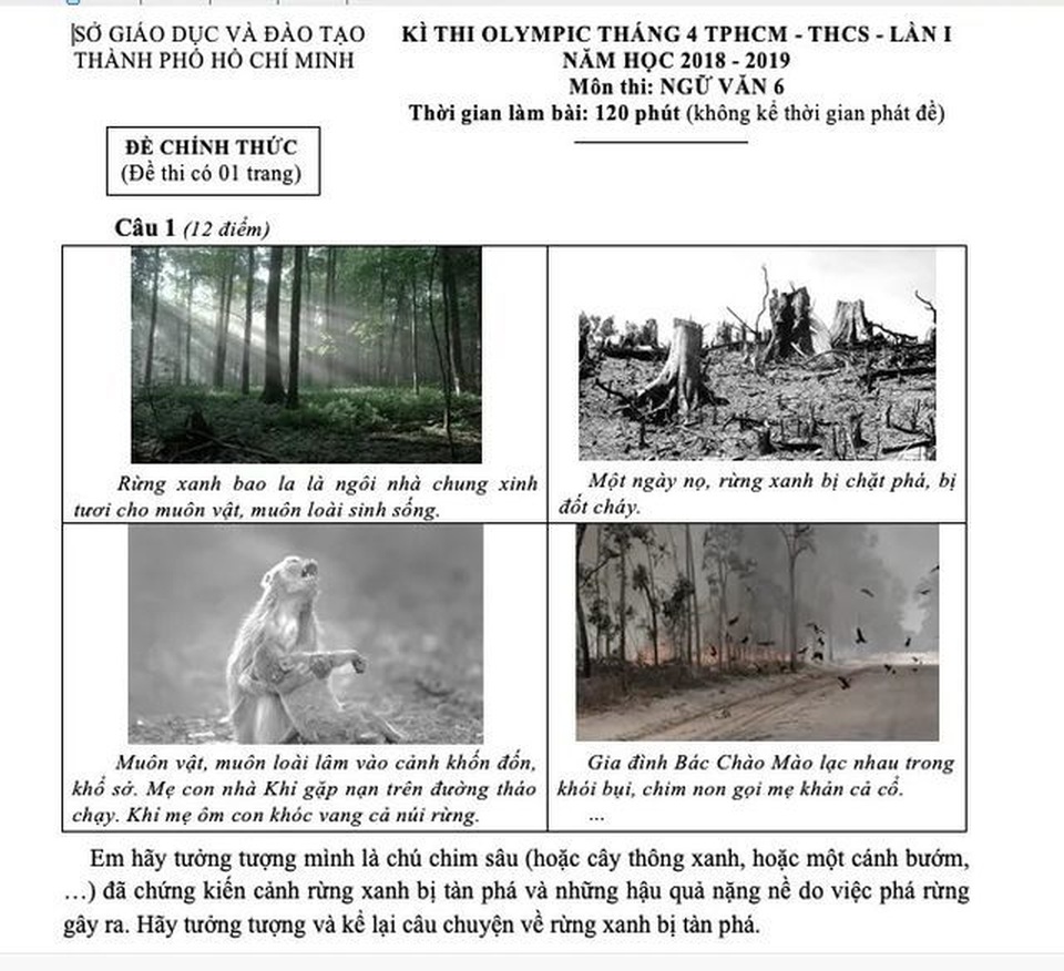 Những đề Văn “lạ” và “chất” của TPHCM - 5 Những đề Văn “lạ” và “chất” của TPHCM - 5