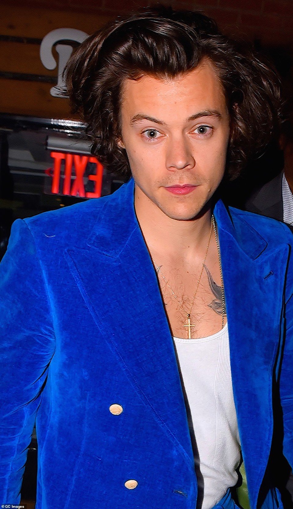 Nhà siêu sang, ca sỹ nhóm One Direction vẫn bán chịu lỗ - 1 Nhà siêu sang, ca sỹ nhóm One Direction vẫn bán chịu lỗ - 1