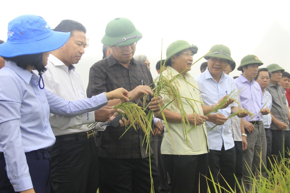 Chuyển mình từ “gió Lào, cát trắng” thành công nghiệp hiện đại, sau 44  năm giải phóng - 2