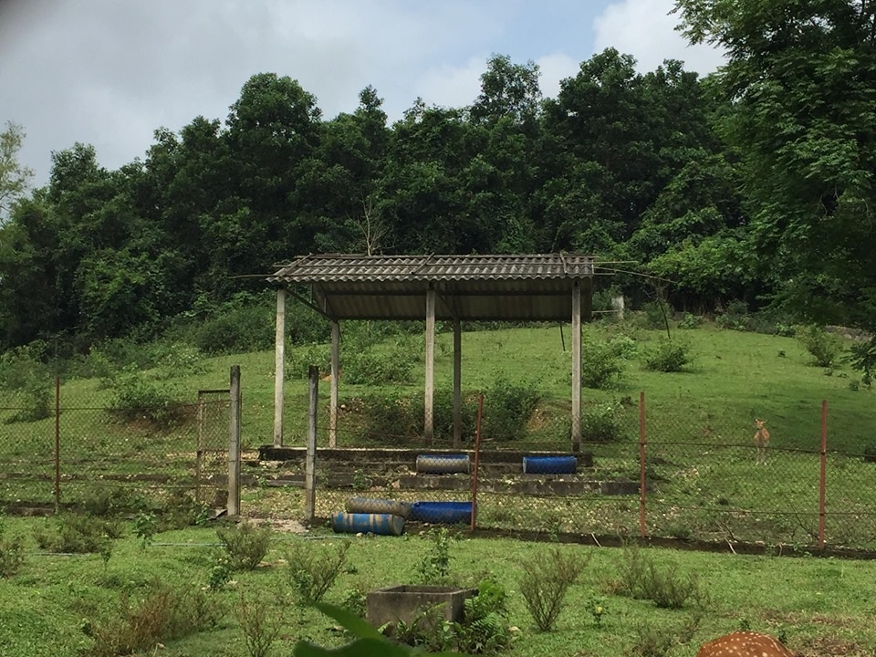 Dự án Trung tâm giống hươu Việt Nam “chết mòn” - 3