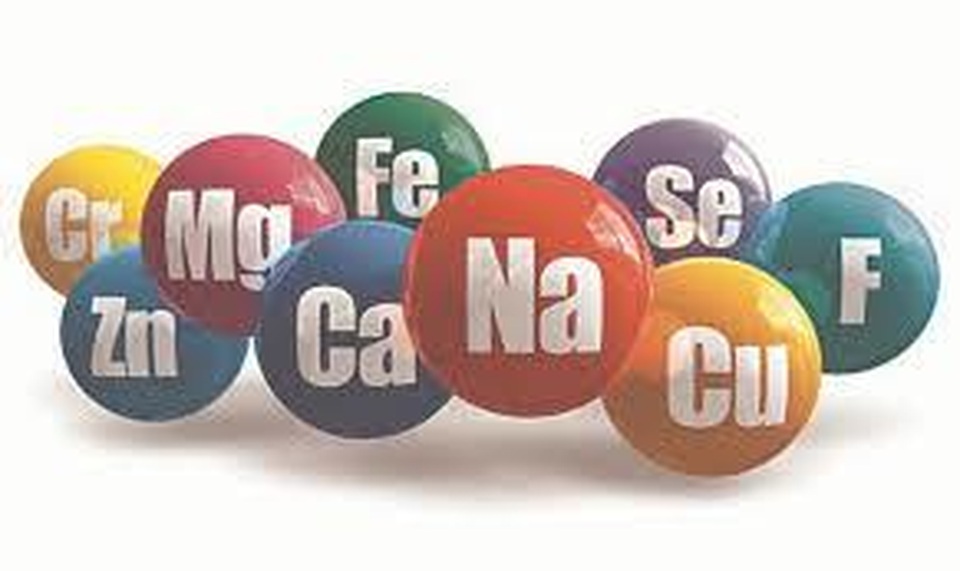 Chất dinh dưỡng vi lượng và sức khỏe - 4