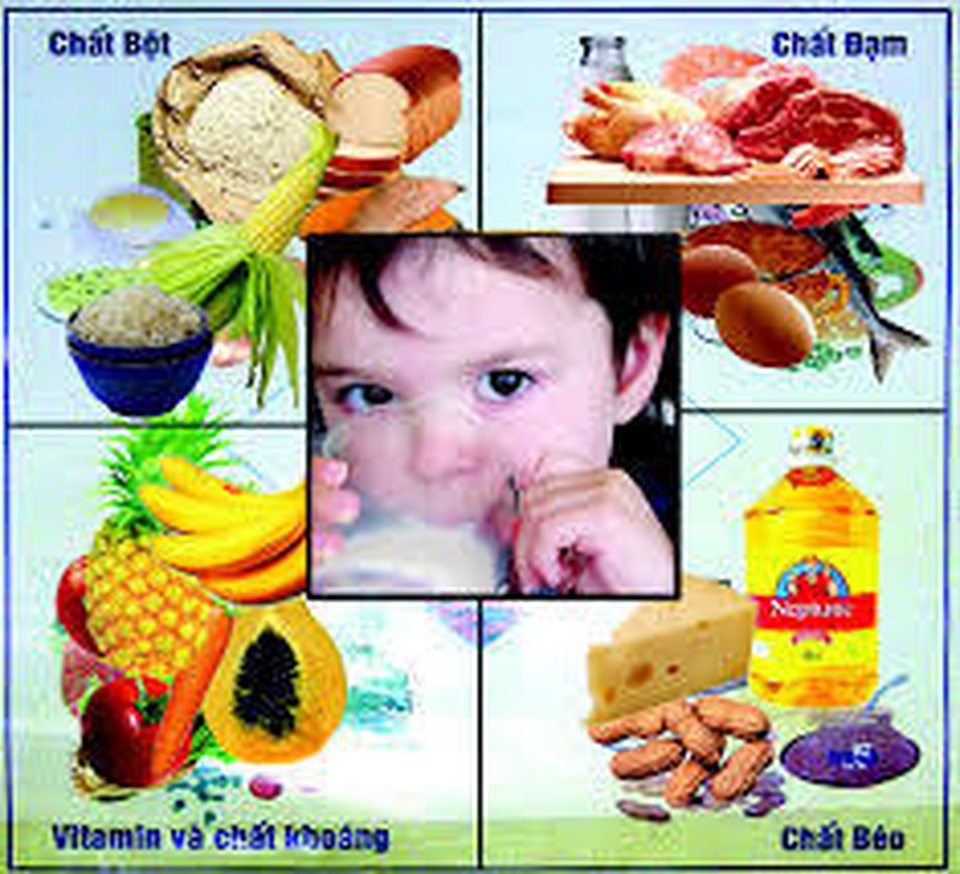 Chất dinh dưỡng vi lượng và sức khỏe - 3