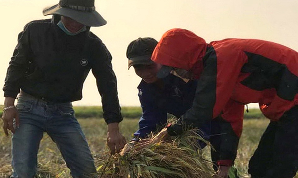 Một “phép màu” đầy yêu thương! - 1 Một “phép màu” đầy yêu thương! - 1
